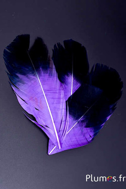 Pétale en plumes - 11-15 x 5-6 cm - violet-noir